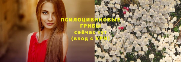 молекула духа Аркадак