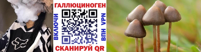 Купить закладки  Камбарка  Галлюциногенные грибы GOLDEN TEACHER 